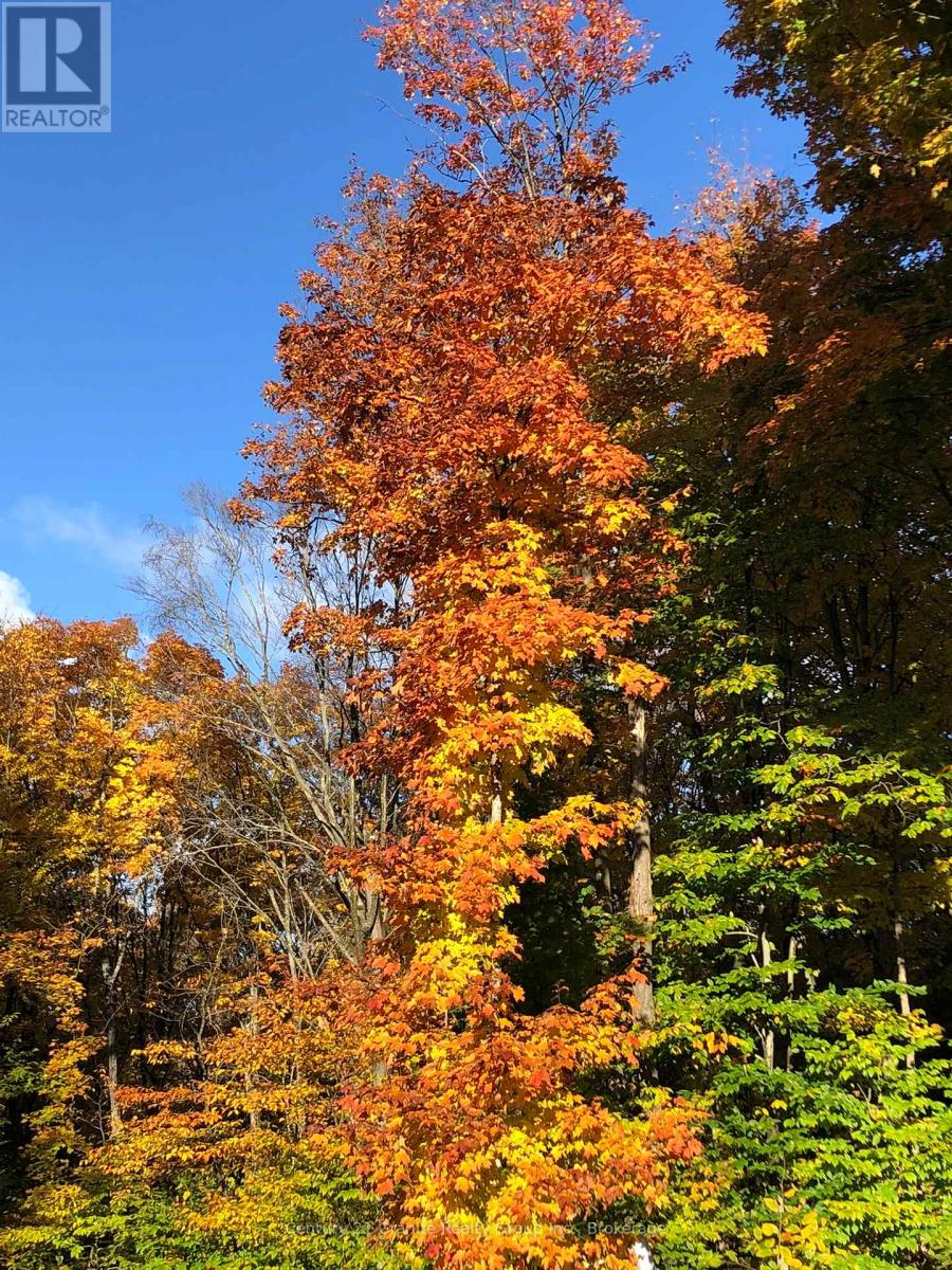 00 Ross Trail, Dysart Et Al, Ontario  K0M 1S0 - Photo 31 - X12579816