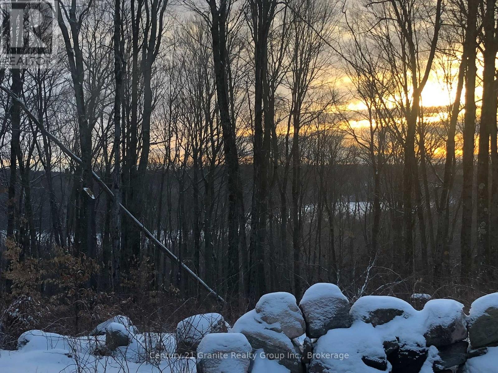 00 Ross Trail, Dysart Et Al, Ontario  K0M 1S0 - Photo 9 - X12579816