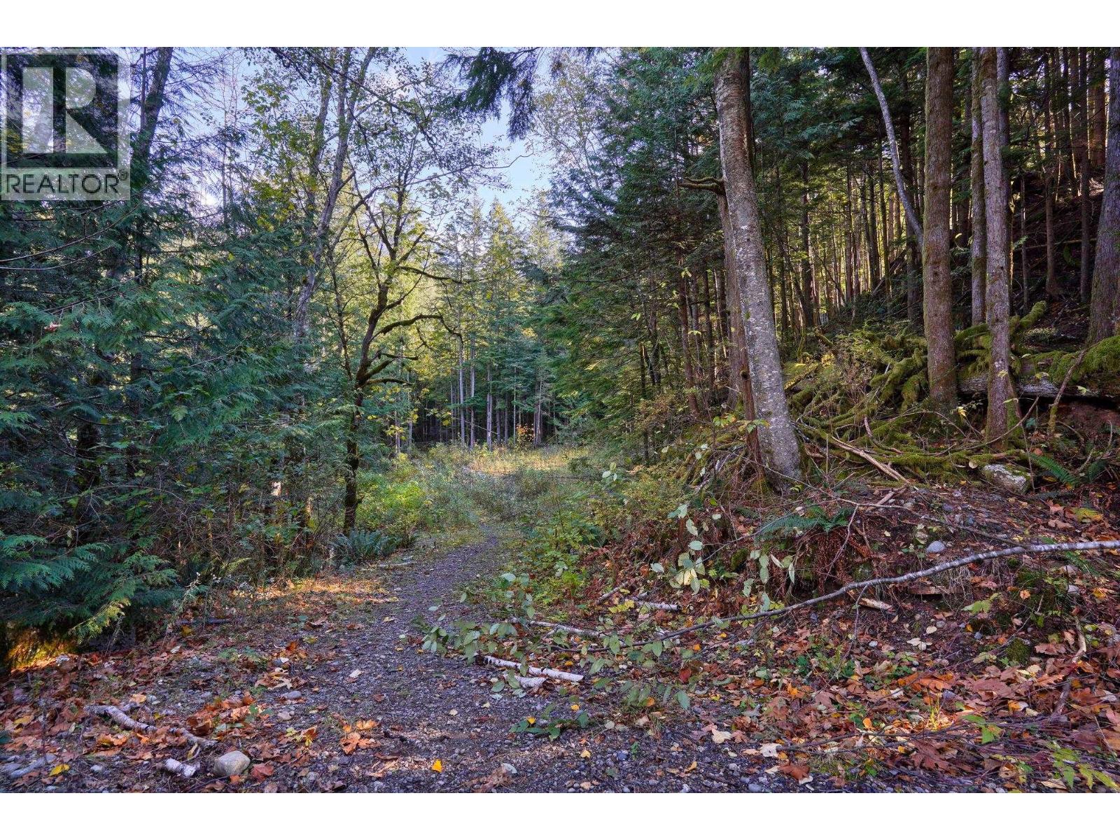 1017 Copper Drive, Britannia Beach, British Columbia  V8B 1J2 - Photo 14 - R3070471