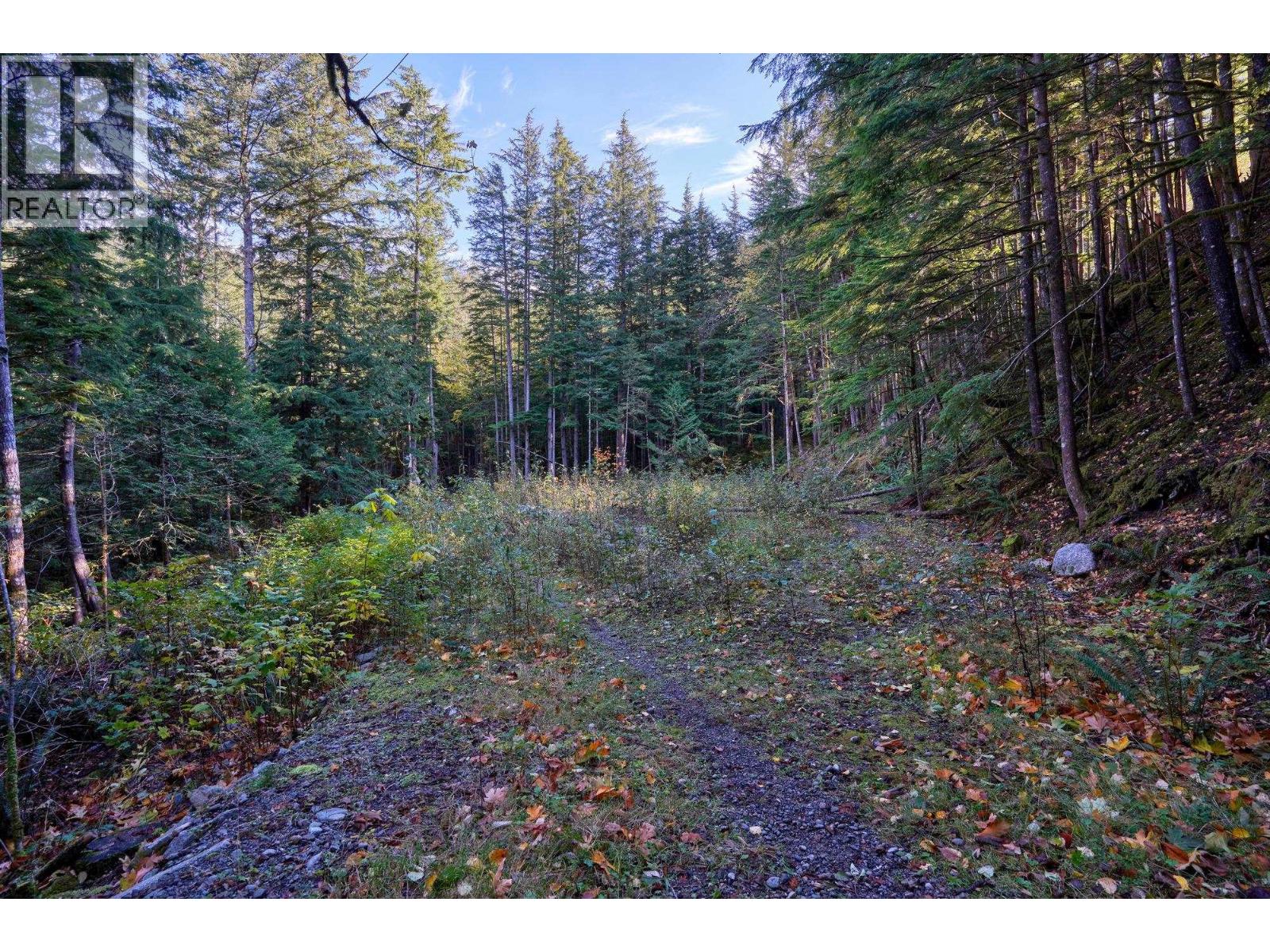 1017 Copper Drive, Britannia Beach, British Columbia  V8B 1J2 - Photo 15 - R3070471