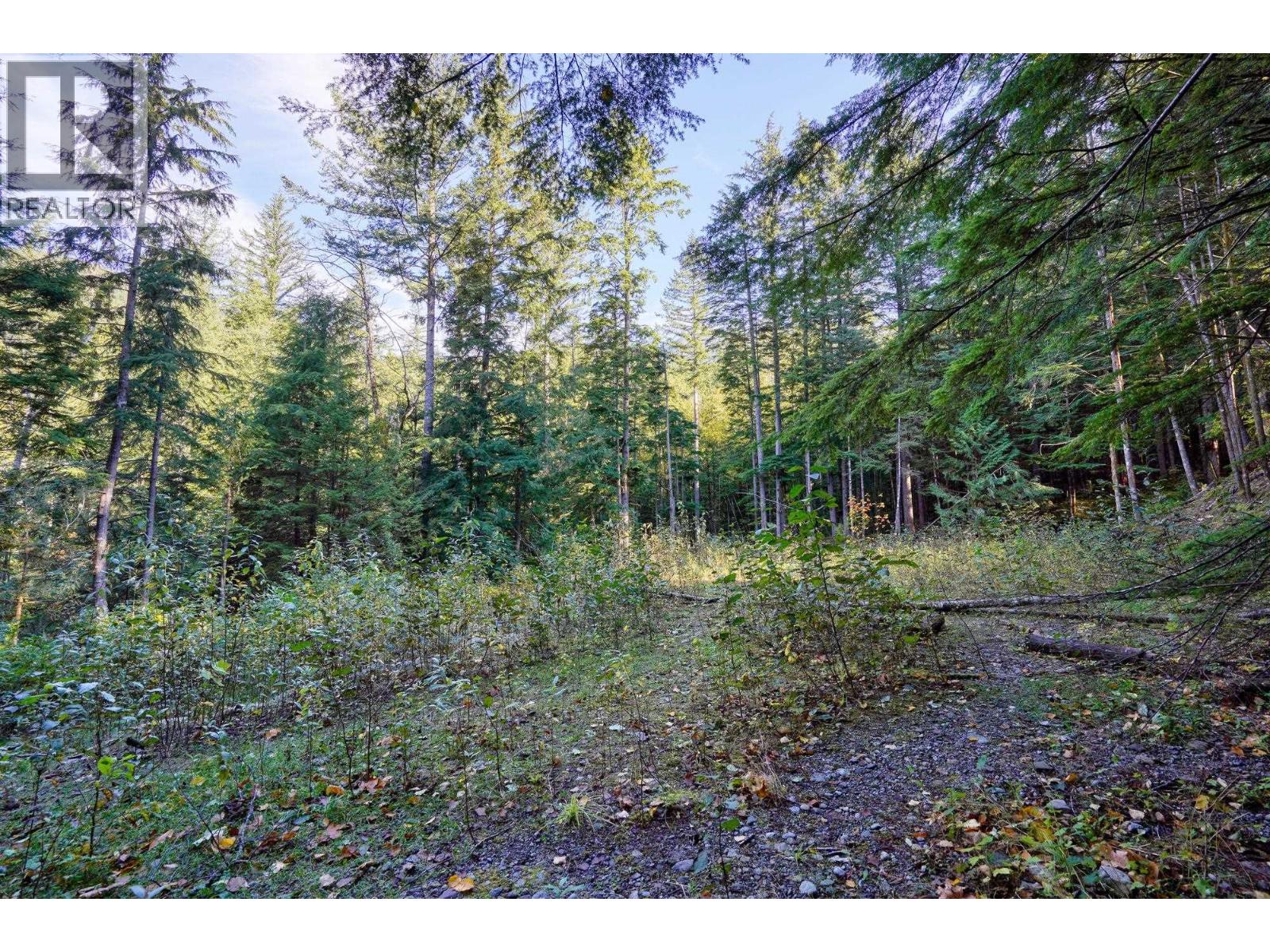 1017 Copper Drive, Britannia Beach, British Columbia  V8B 1J2 - Photo 17 - R3070471