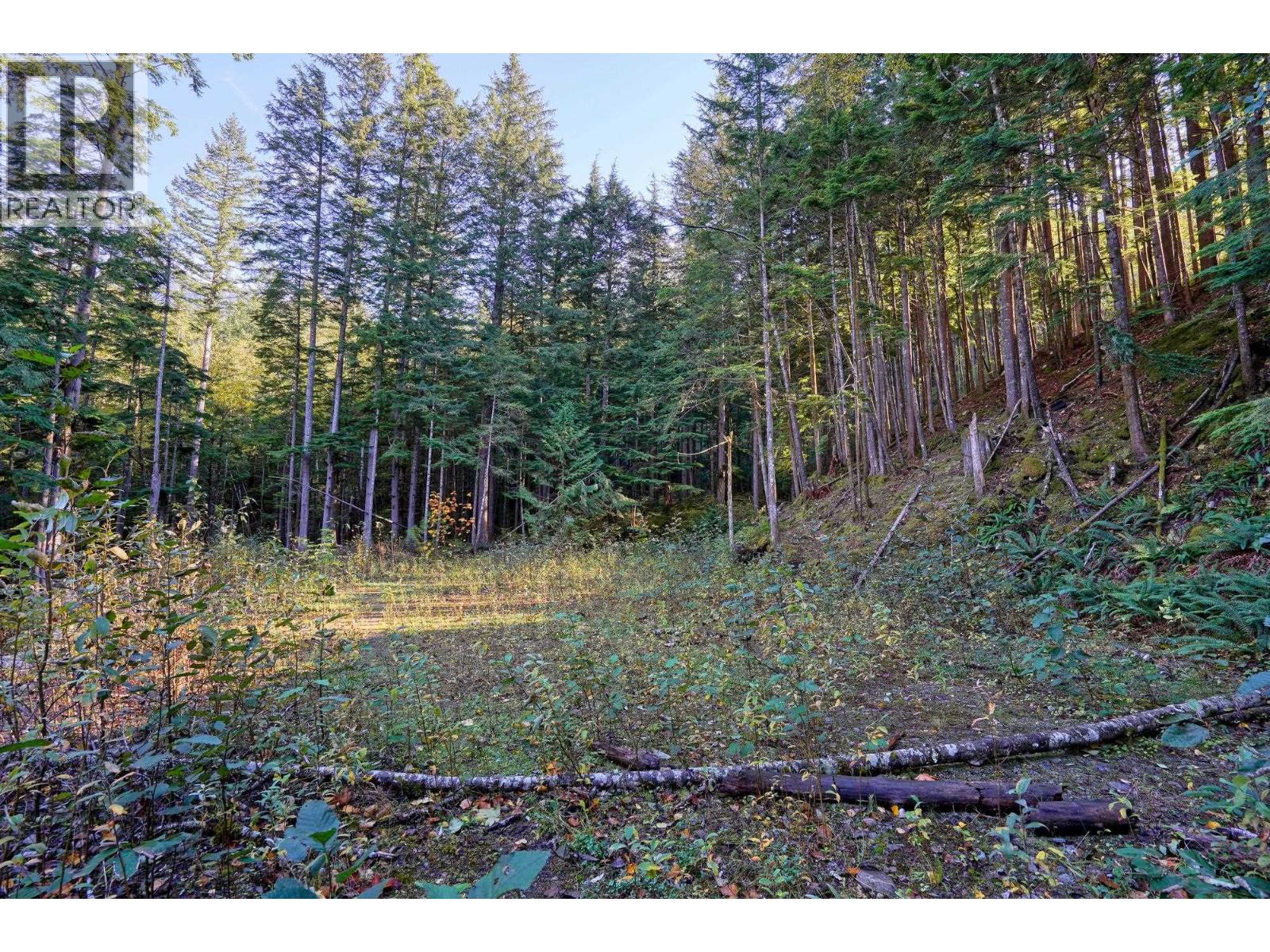 1017 Copper Drive, Britannia Beach, British Columbia  V8B 1J2 - Photo 18 - R3070471