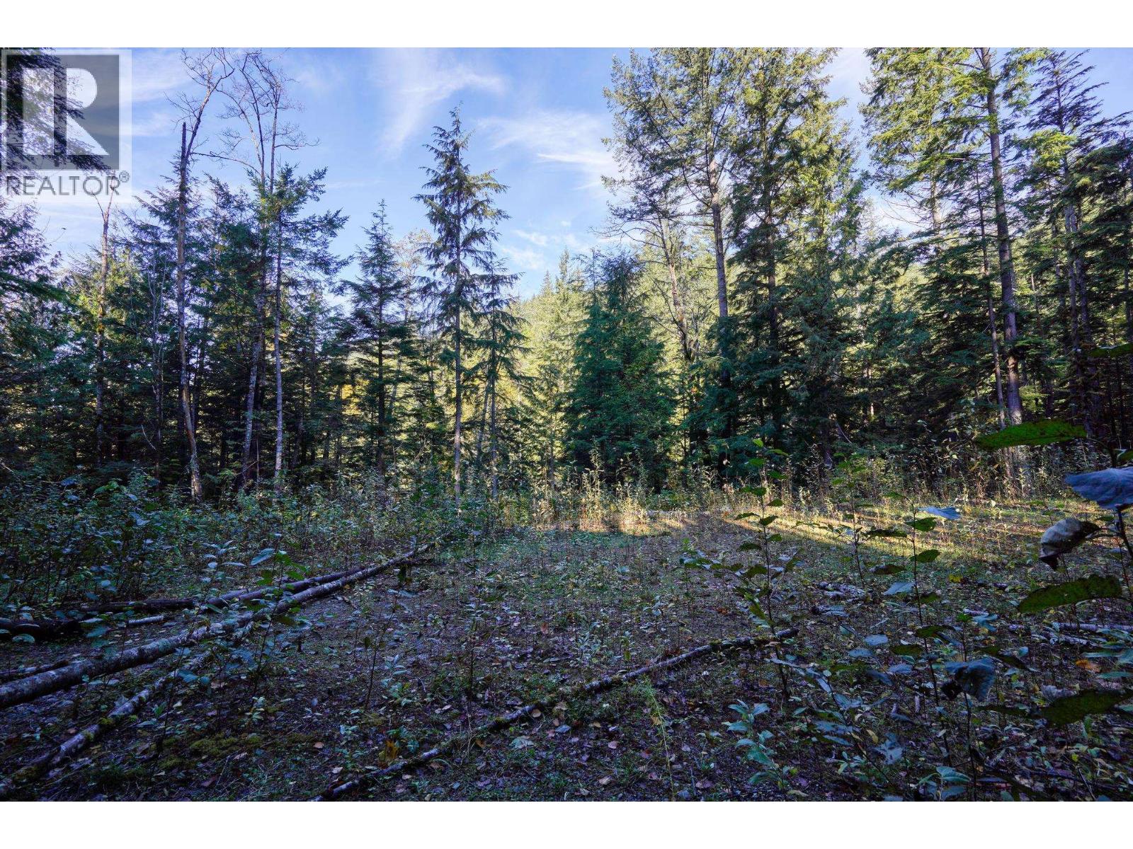 1017 Copper Drive, Britannia Beach, British Columbia  V8B 1J2 - Photo 19 - R3070471