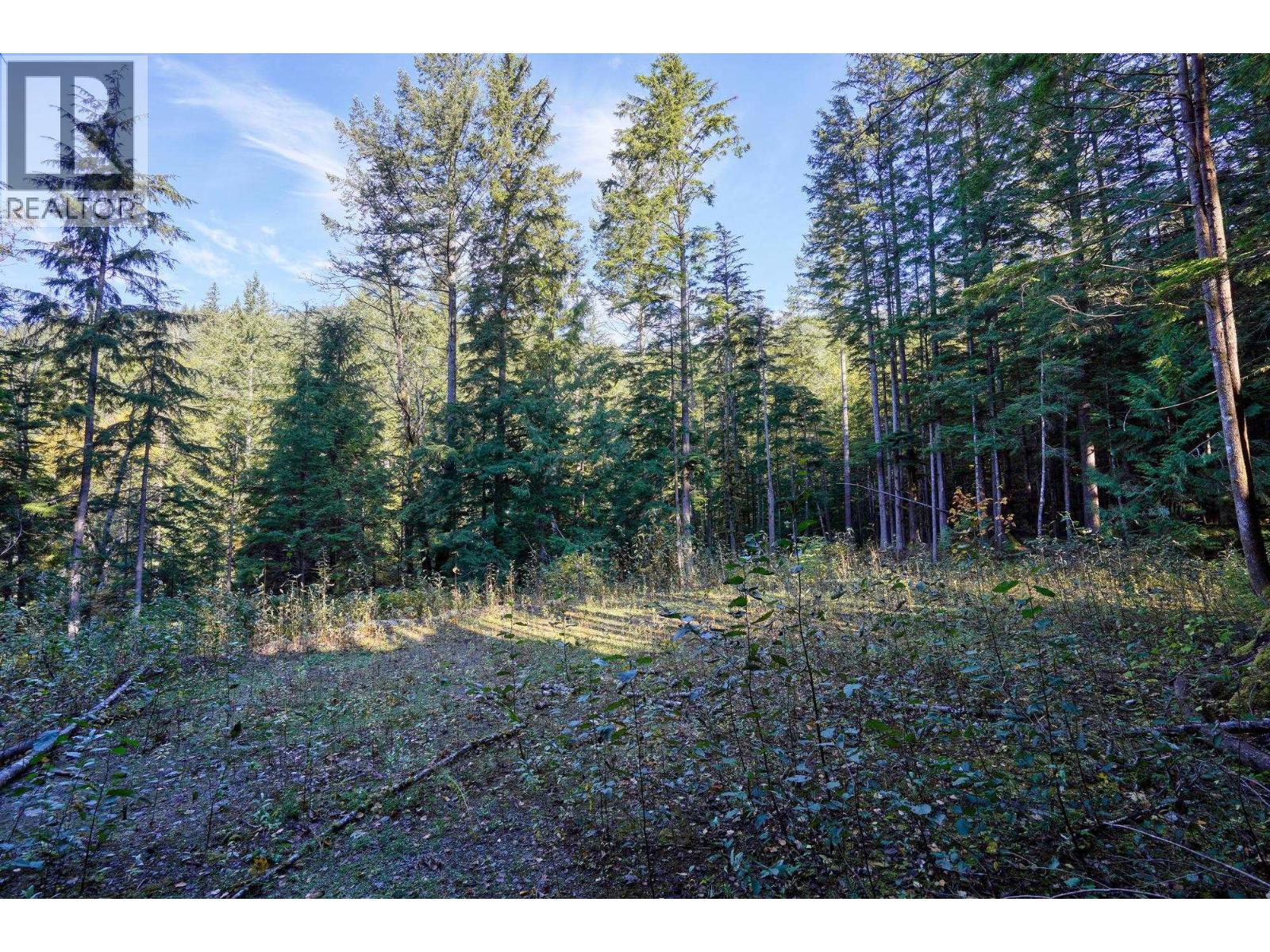 1017 Copper Drive, Britannia Beach, British Columbia  V8B 1J2 - Photo 20 - R3070471