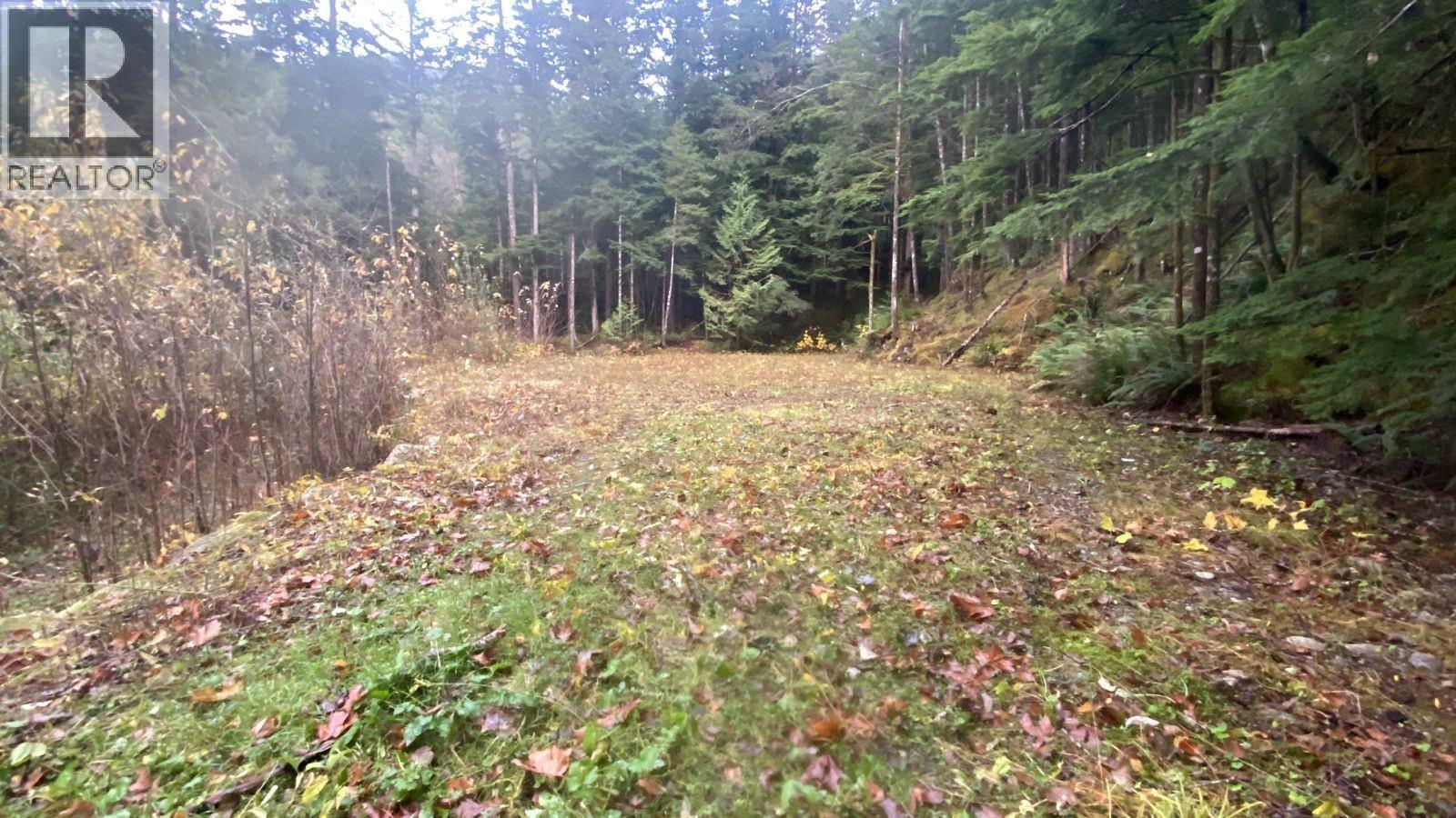 1017 Copper Drive, Britannia Beach, British Columbia  V8B 1J2 - Photo 3 - R3070471