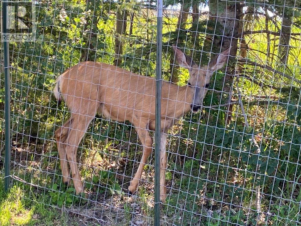 432, 37543 England Way, Rural Red Deer County, Alberta  T4S 2C3 - Photo 36 - A2272476