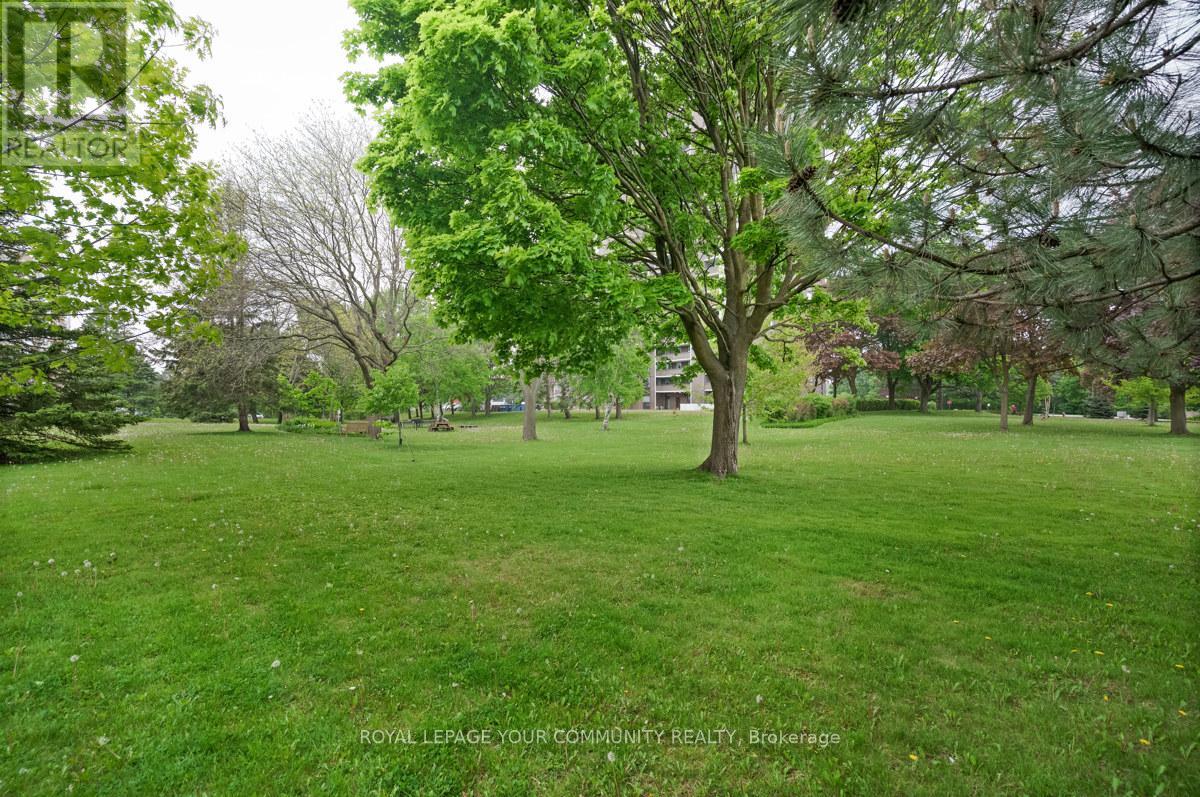 205 - 1535 Lakeshore Road E, Mississauga, Ontario  L5E 3E2 - Photo 30 - W12579432