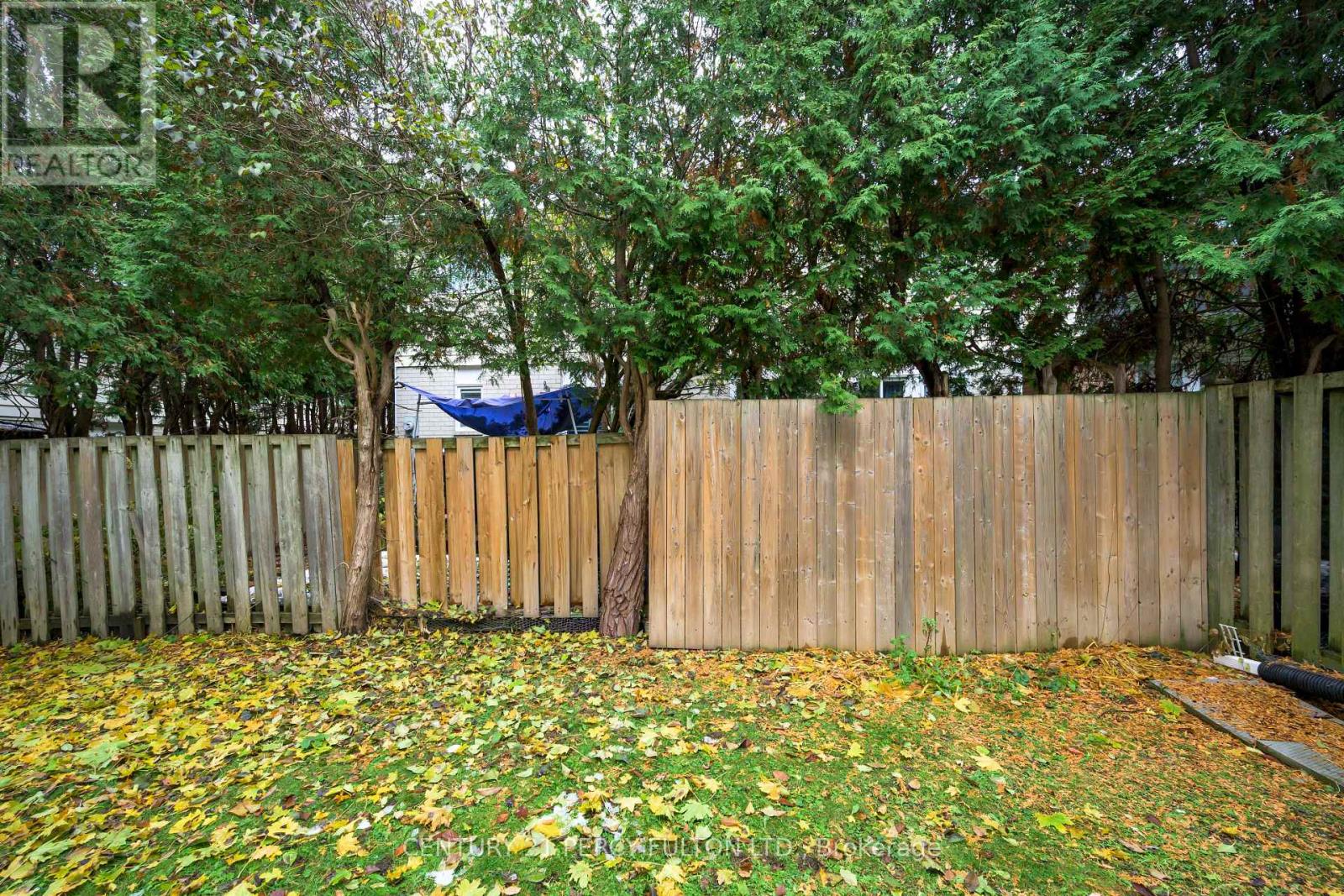 72 - 94 Plum Tree Way, Toronto, Ontario  M2R 3J2 - Photo 36 - C12580668