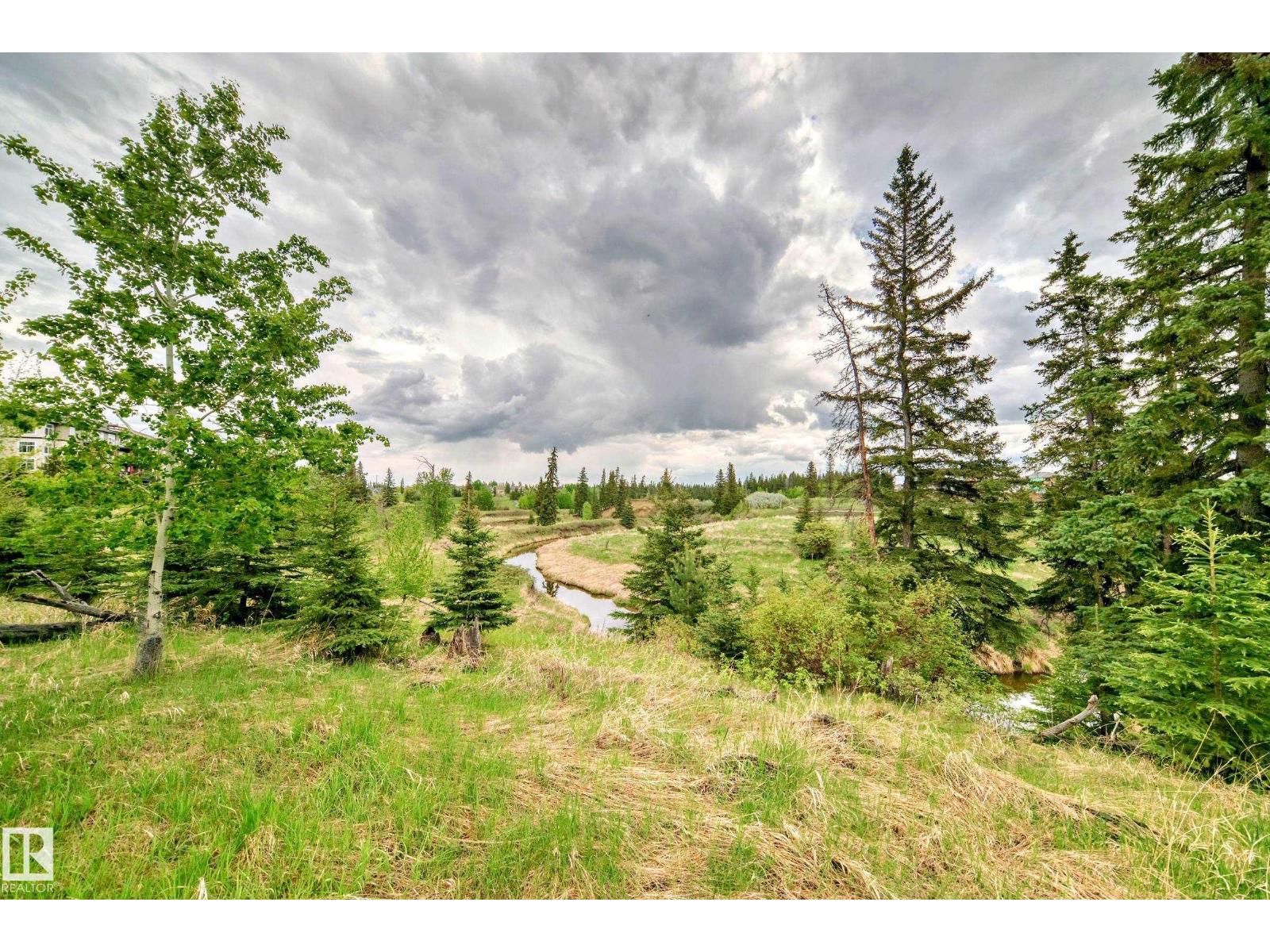 1673 James Mowatt Tr Sw, Edmonton, Alberta  T6W 0J7 - Photo 39 - E4466818