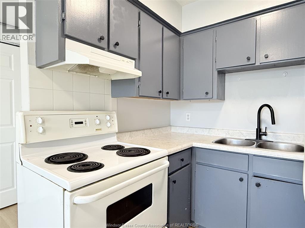 591 Wellington Avenue Unit# 206, Windsor, Ontario  N9A 5J3 - Photo 4 - 25030509