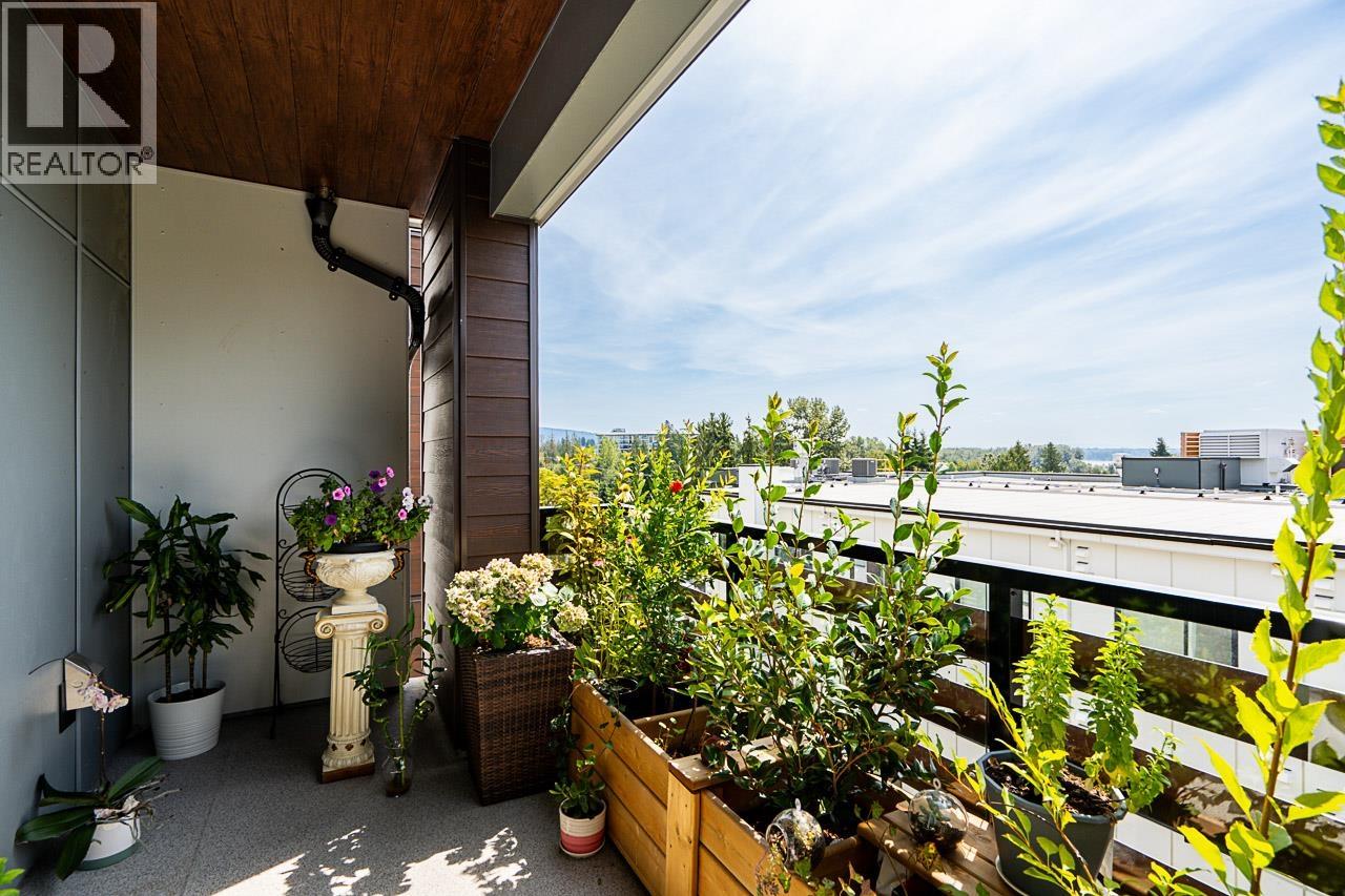 405 11703 Fraser Street, Maple Ridge, British Columbia  V2X 9A7 - Photo 16 - R3070303