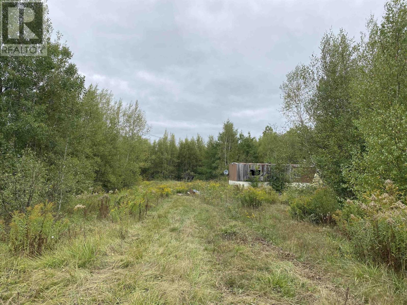 2028 Lake Road, Tatamagouche, Nova Scotia  B6L 1G5 - Photo 3 - 202523293