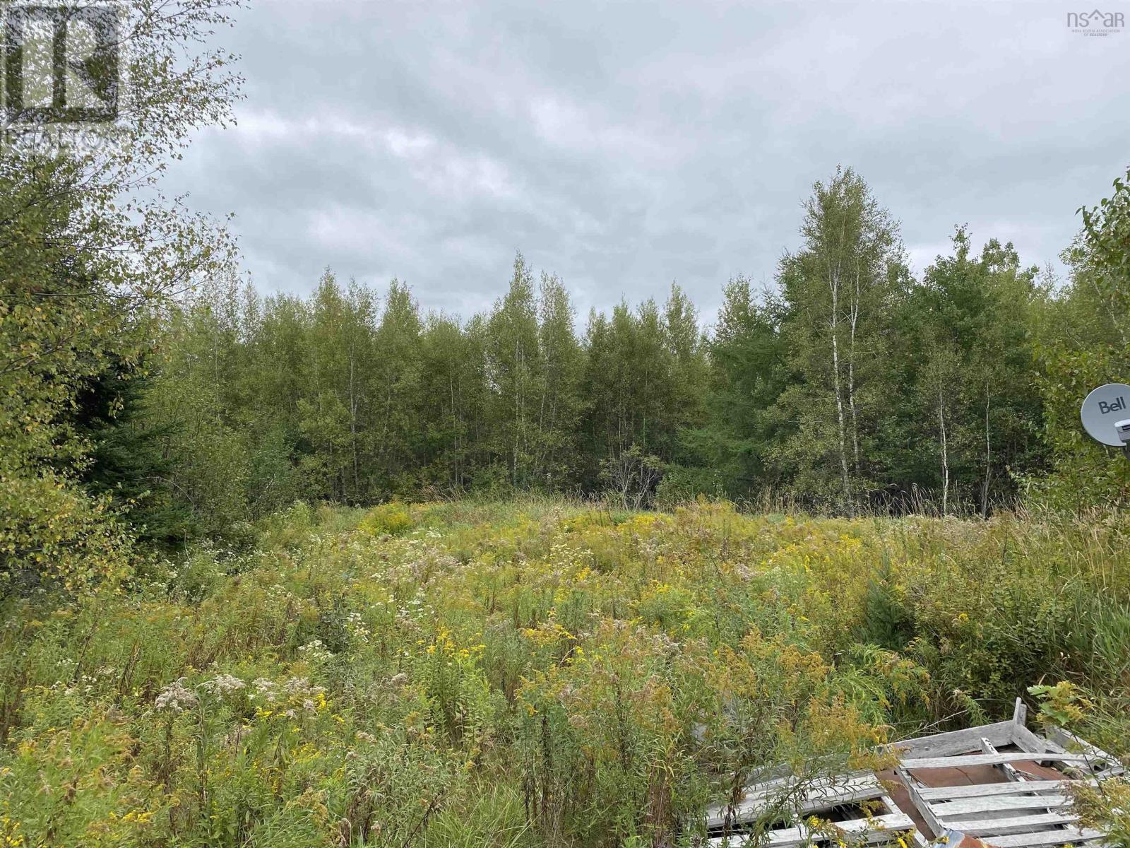 2028 Lake Road, Tatamagouche, Nova Scotia  B6L 1G5 - Photo 8 - 202523293