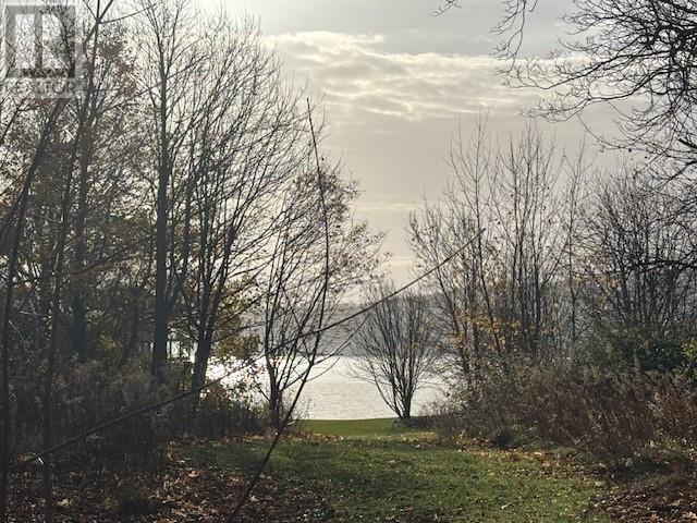 74 Water Street, Carbonear, Newfoundland & Labrador  A1Y 1A6 - Photo 2 - 1291892