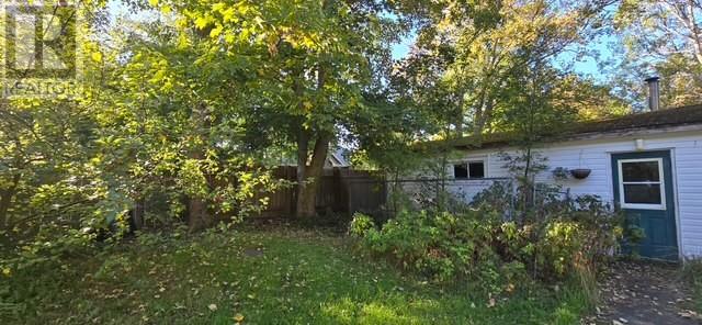 74 Water Street, Carbonear, Newfoundland & Labrador  A1Y 1A6 - Photo 48 - 1291892