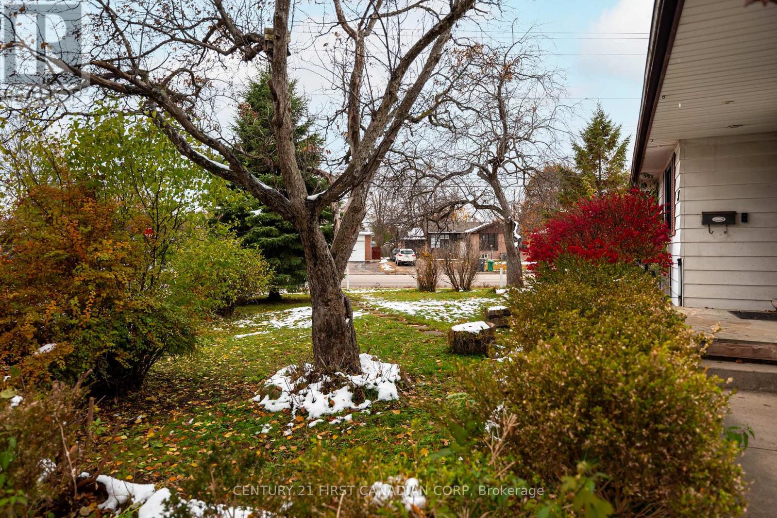 37 Mclaughlin Road N, Brampton, Ontario  L6X 1Y9 - Photo 2 - W12580920