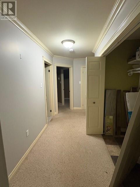 3 Westfield Road, La Scie, Newfoundland & Labrador  A0K 5H0 - Photo 16 - 1292947