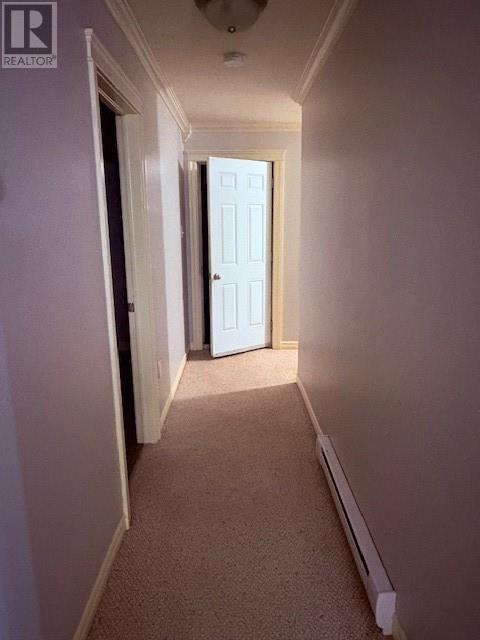 3 Westfield Road, La Scie, Newfoundland & Labrador  A0K 5H0 - Photo 19 - 1292947