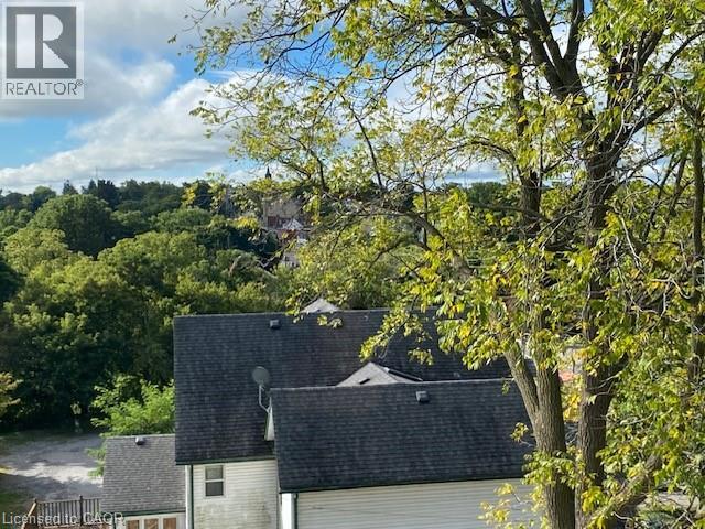 59 N Main Street N, Waterford, Ontario N0E 1Y0 - Photo 6 - 40790701