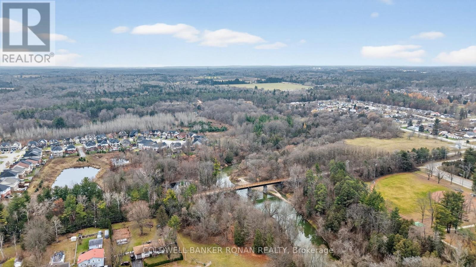 200 Calford Street, Essa (Angus), Ontario  L0M 1B0 - Photo 46 - N12581288