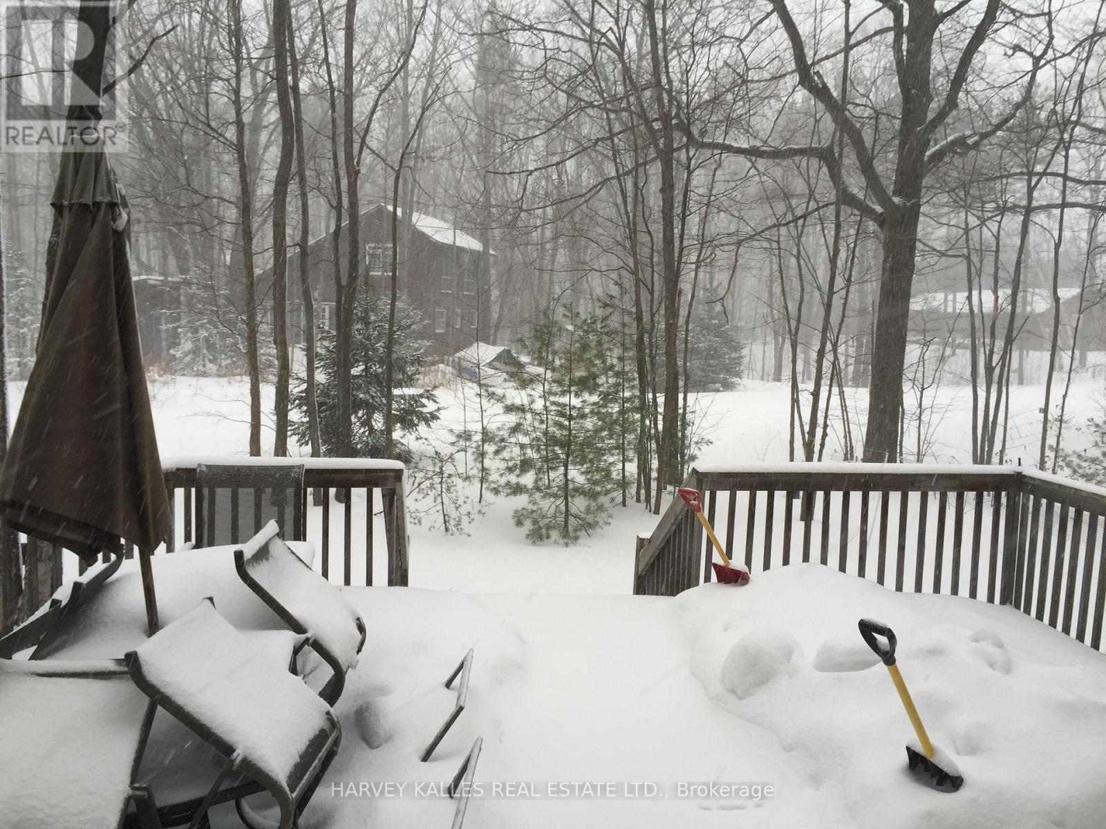 6 Mkwa Miikaans Lane, Christian Island 30, Ontario  L9M 0A9 - Photo 20 - S12581264