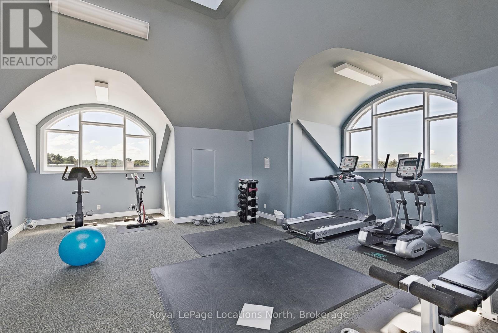 207 - 10 Bay Street E, Blue Mountains, Ontario  N0H 2P0 - Photo 35 - X12581462