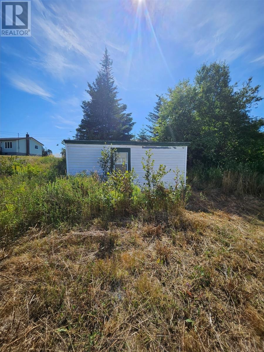 110 Conception Bay Highway, Georgetown, Newfoundland & Labrador  A0A 2Z0 - Photo 4 - 1292963