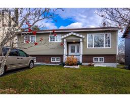 20 Walwyn Street, St John's, Newfoundland & Labrador