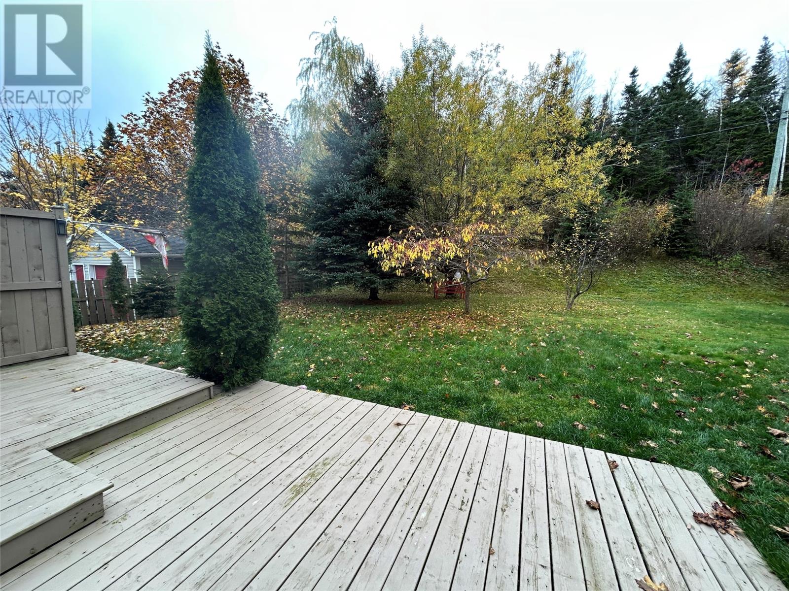 41 Sullivan Street, Grand Falls-Windsor, Newfoundland & Labrador  A2A 2M1 - Photo 50 - 1292944