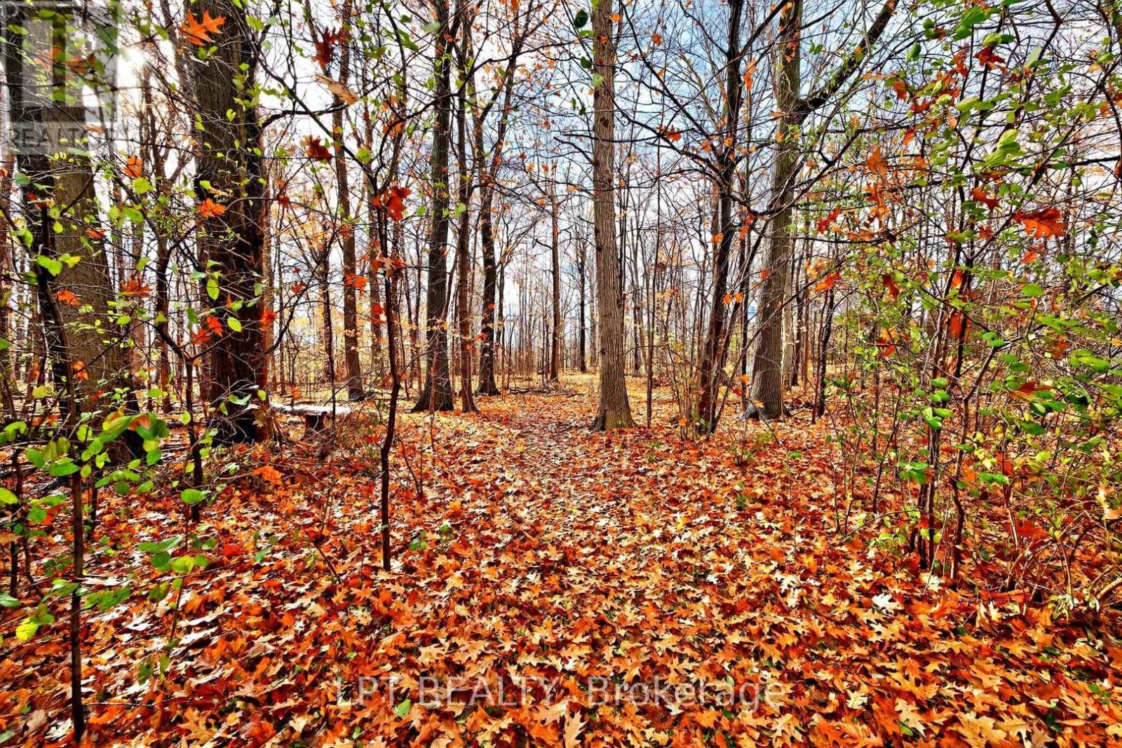 20 Burnley Place, Brampton, Ontario  L6Z 2T9 - Photo 49 - W12581520