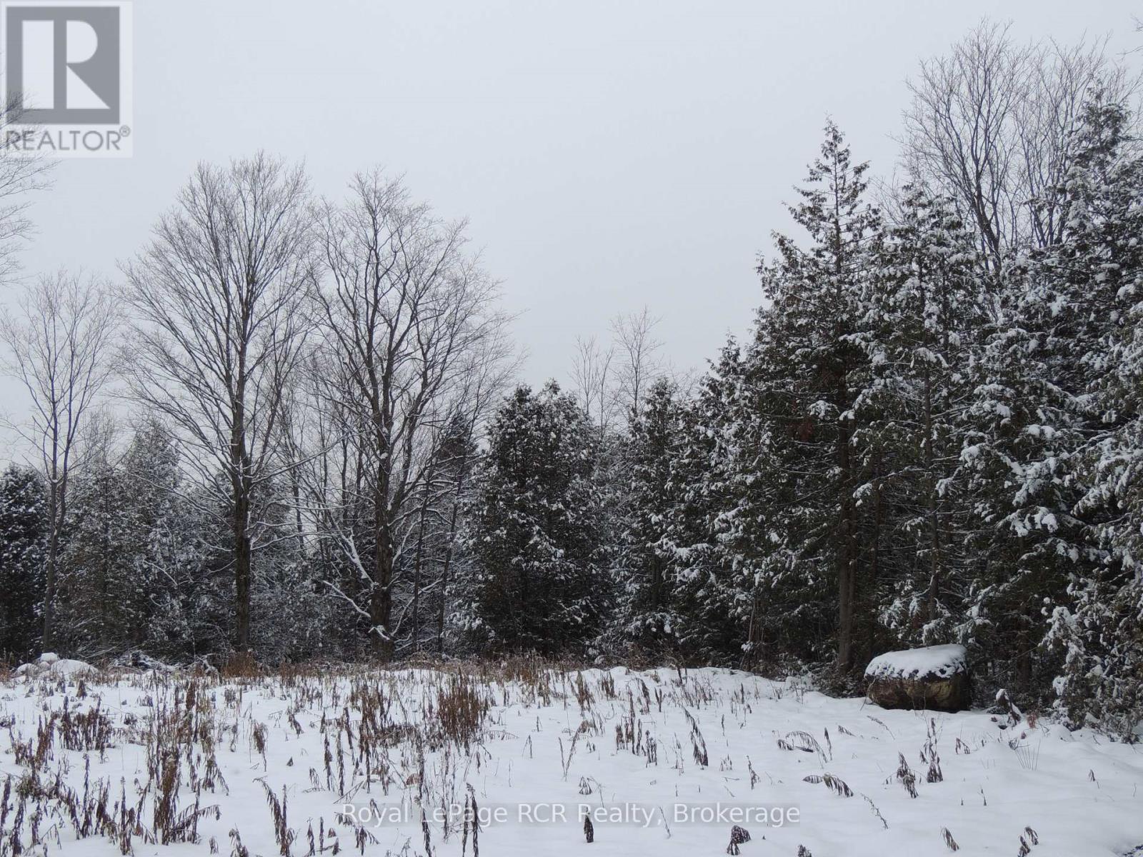 00000 Penny Lane, Grey Highlands, Ontario  N0C 1E0 - Photo 4 - X12293342