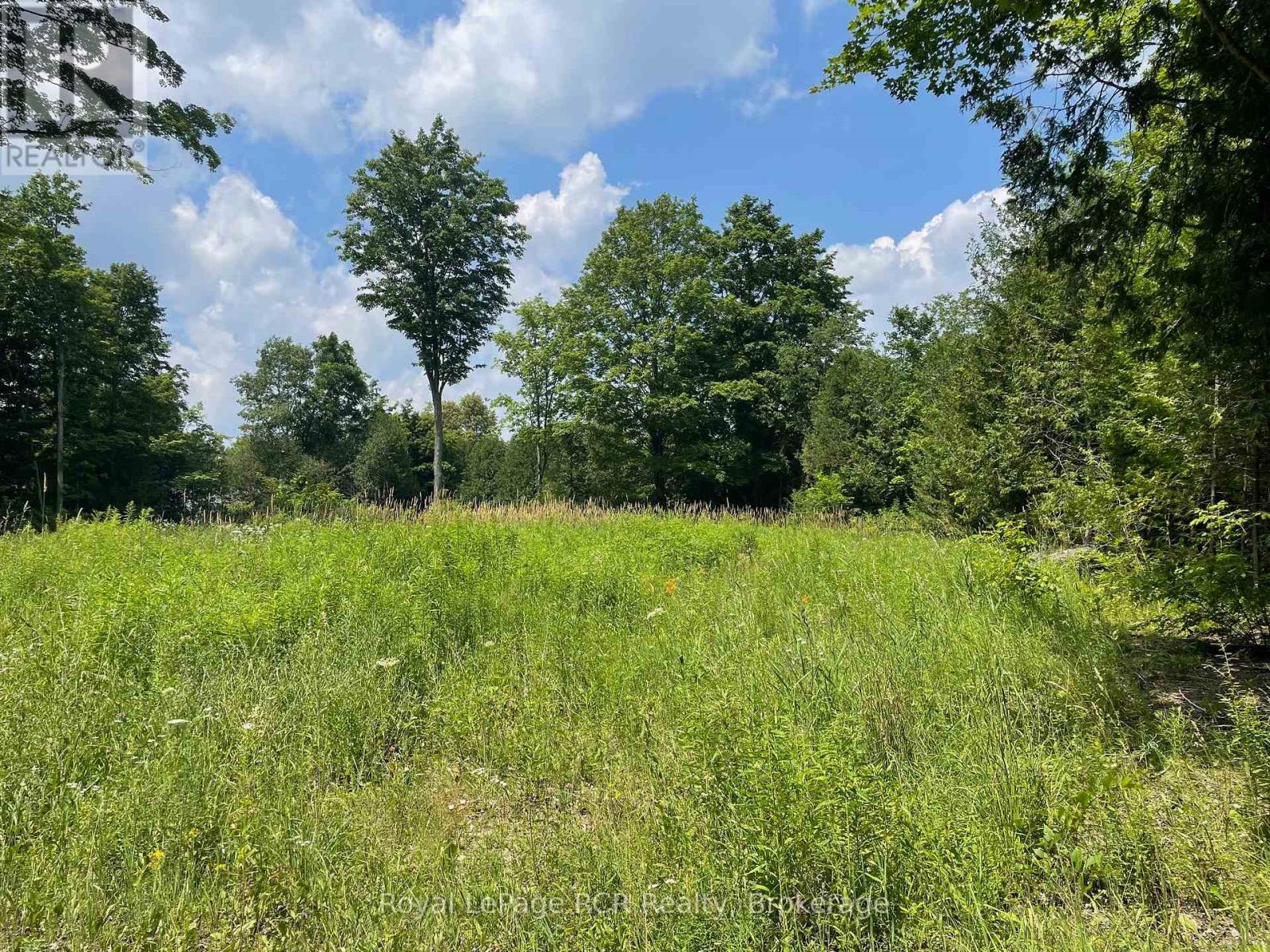 00000 Penny Lane, Grey Highlands, Ontario  N0C 1E0 - Photo 5 - X12293342