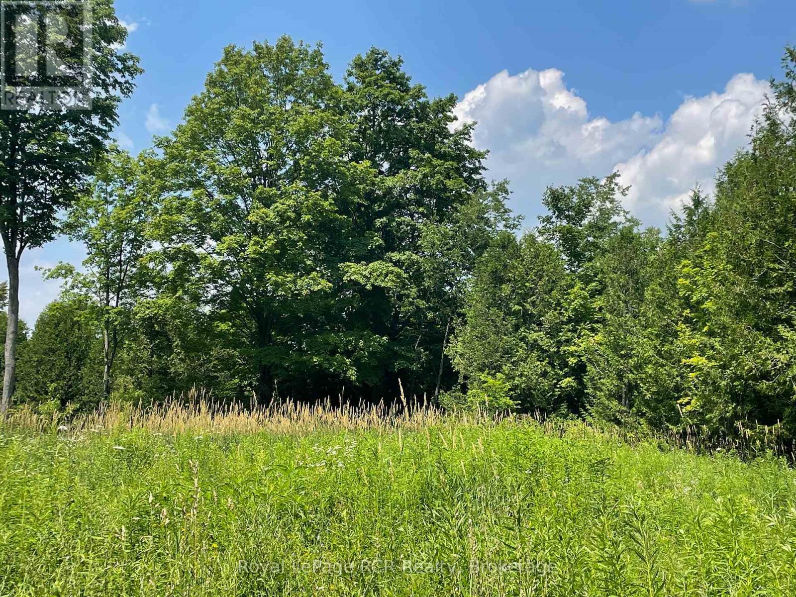 00000 Penny Lane, Grey Highlands, Ontario  N0C 1E0 - Photo 8 - X12293342