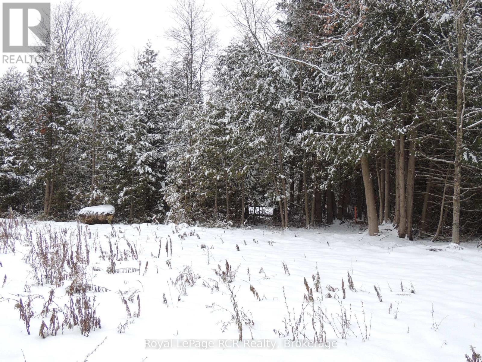 00000 Penny Lane, Grey Highlands, Ontario  N0C 1E0 - Photo 2 - X12293342