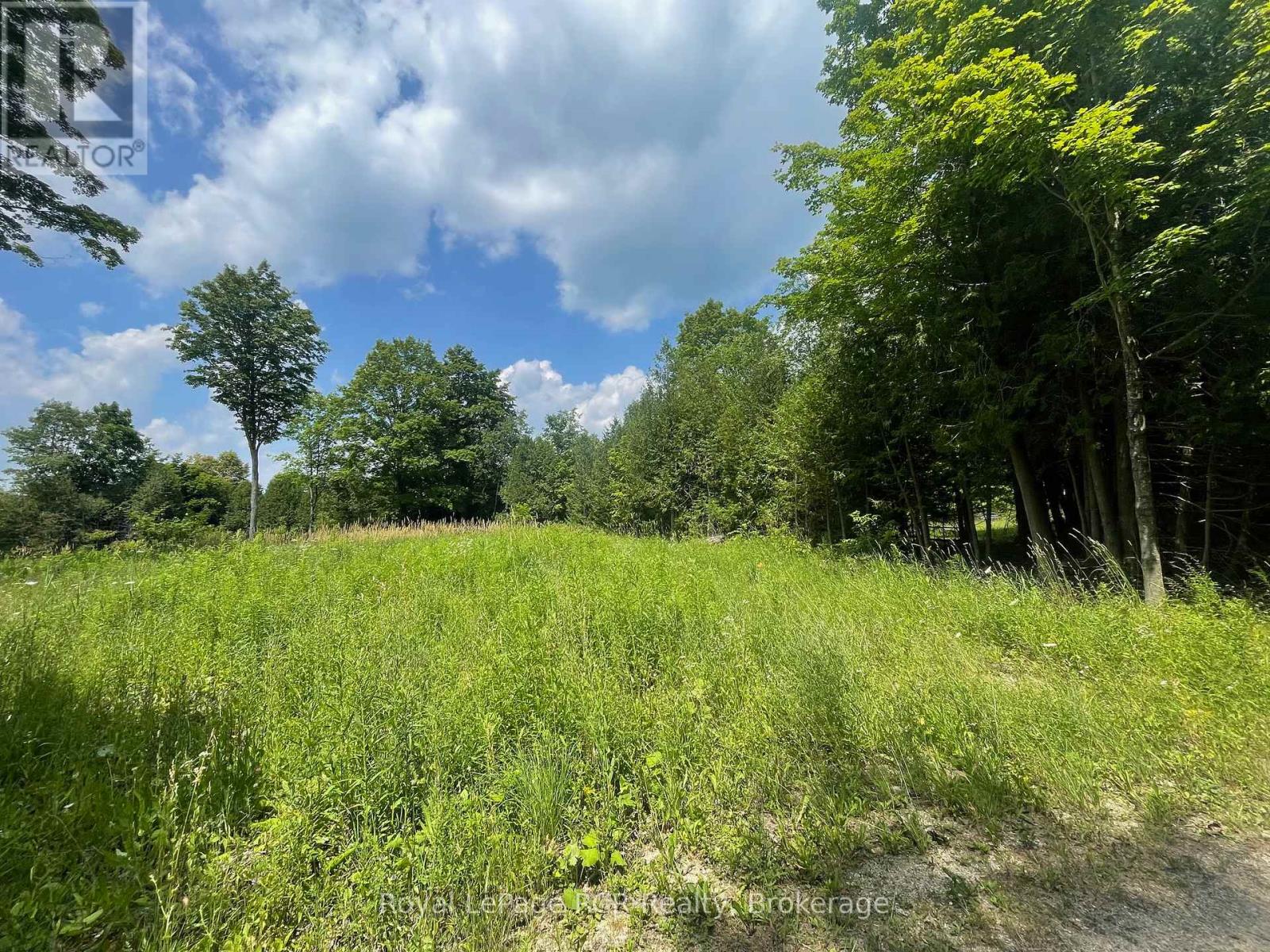 00000 Penny Lane, Grey Highlands, Ontario  N0C 1E0 - Photo 9 - X12293342