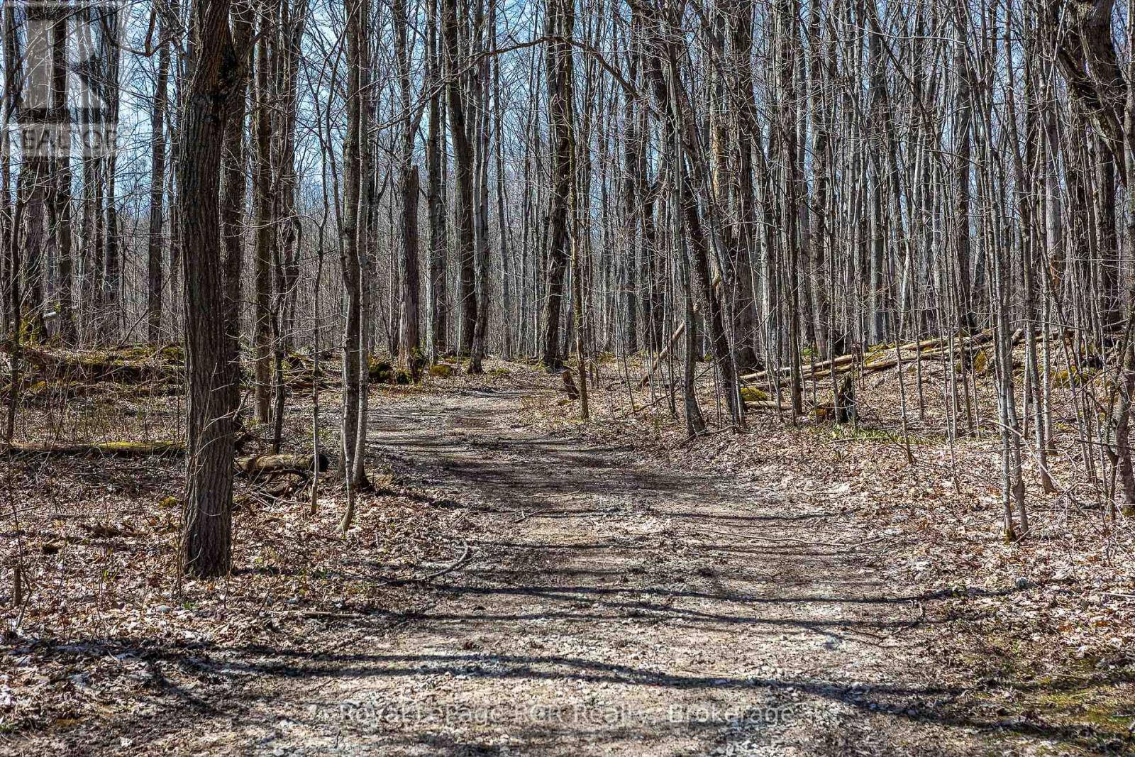 126 West Street, Georgian Bluffs, Ontario N4K 5N7 - Photo 4 - X12415708