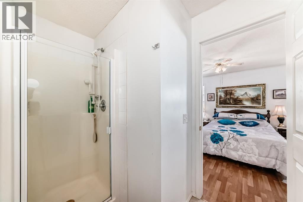 21 Strathmore Lakes Way, Strathmore, Alberta  T1P 1L7 - Photo 25 - A2272763