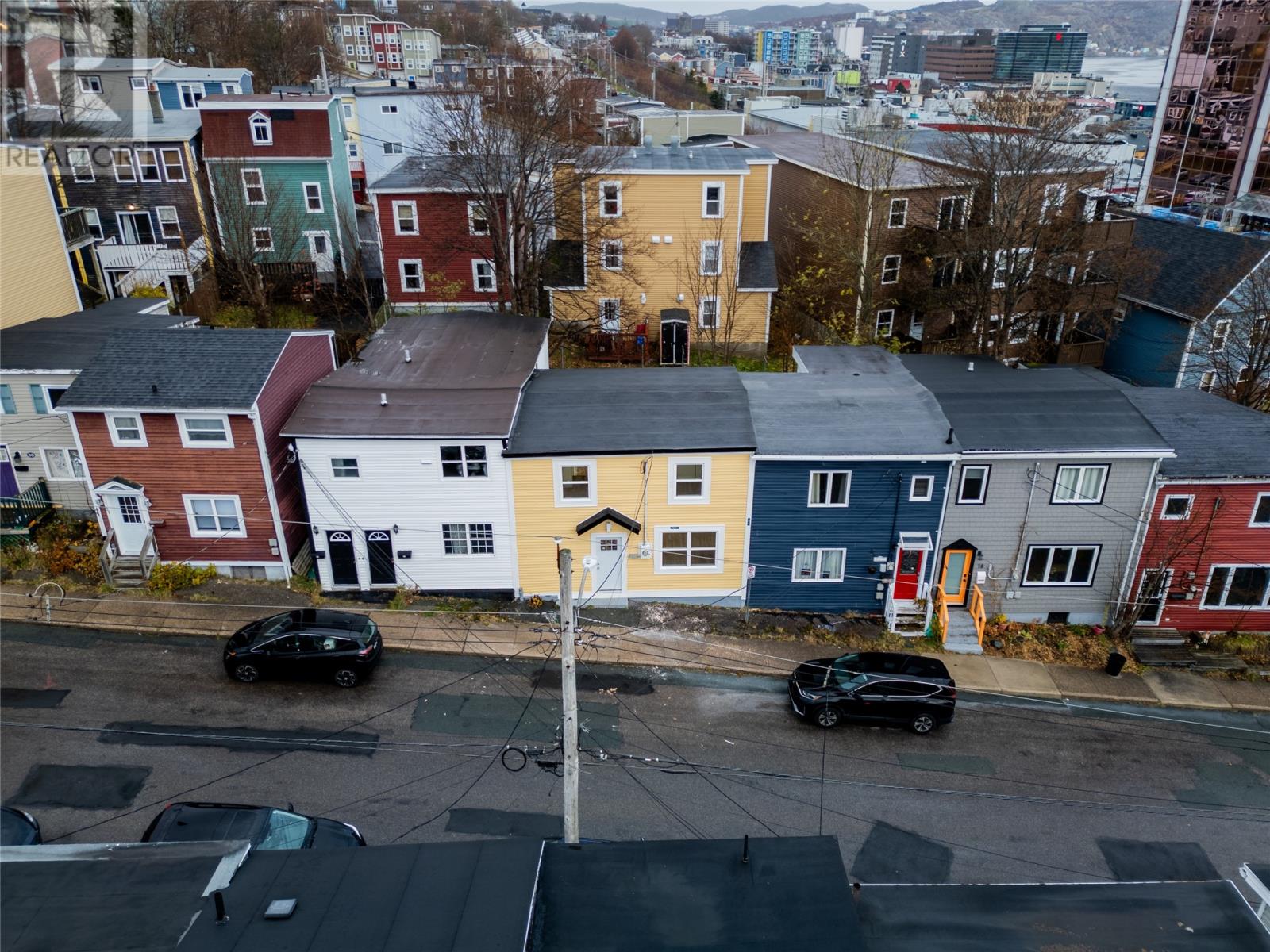 22 Mcfarlane Street, St. John's, Newfoundland & Labrador  A1C 4T6 - Photo 2 - 1292950