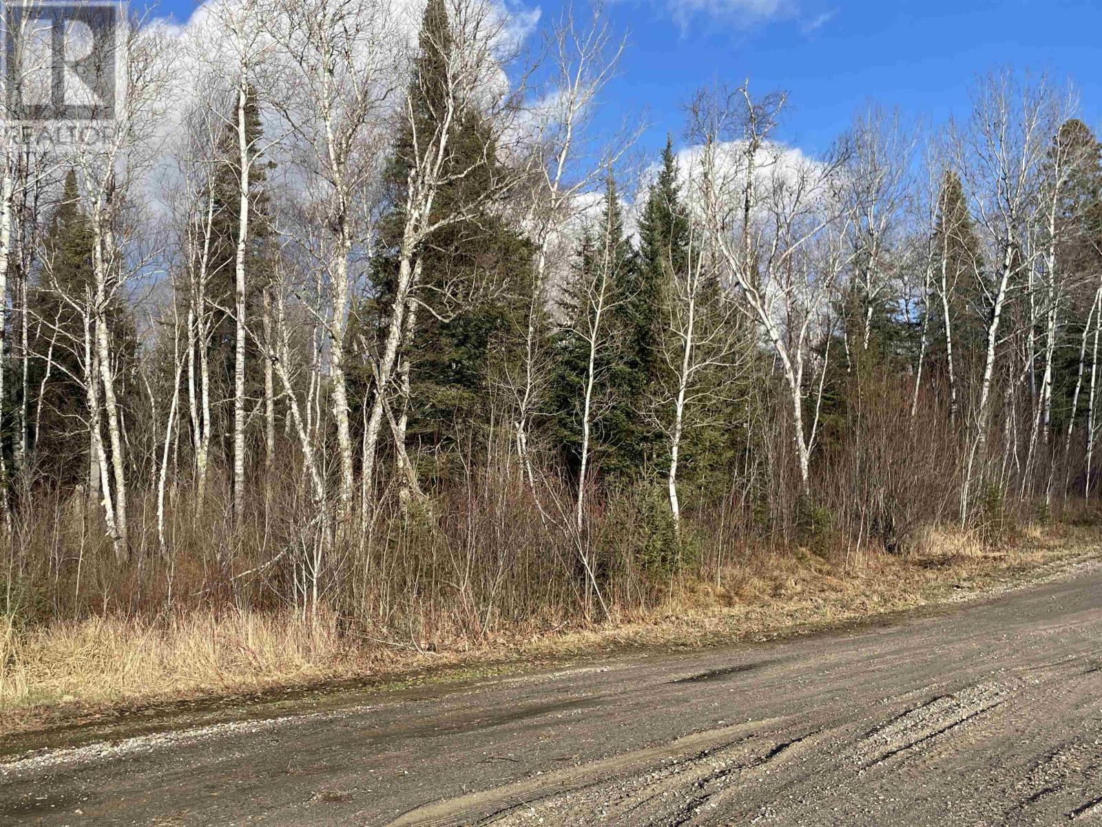 99 Shelley Lane, Dryden, Ontario  P8N 2Y4 - Photo 4 - TB253566