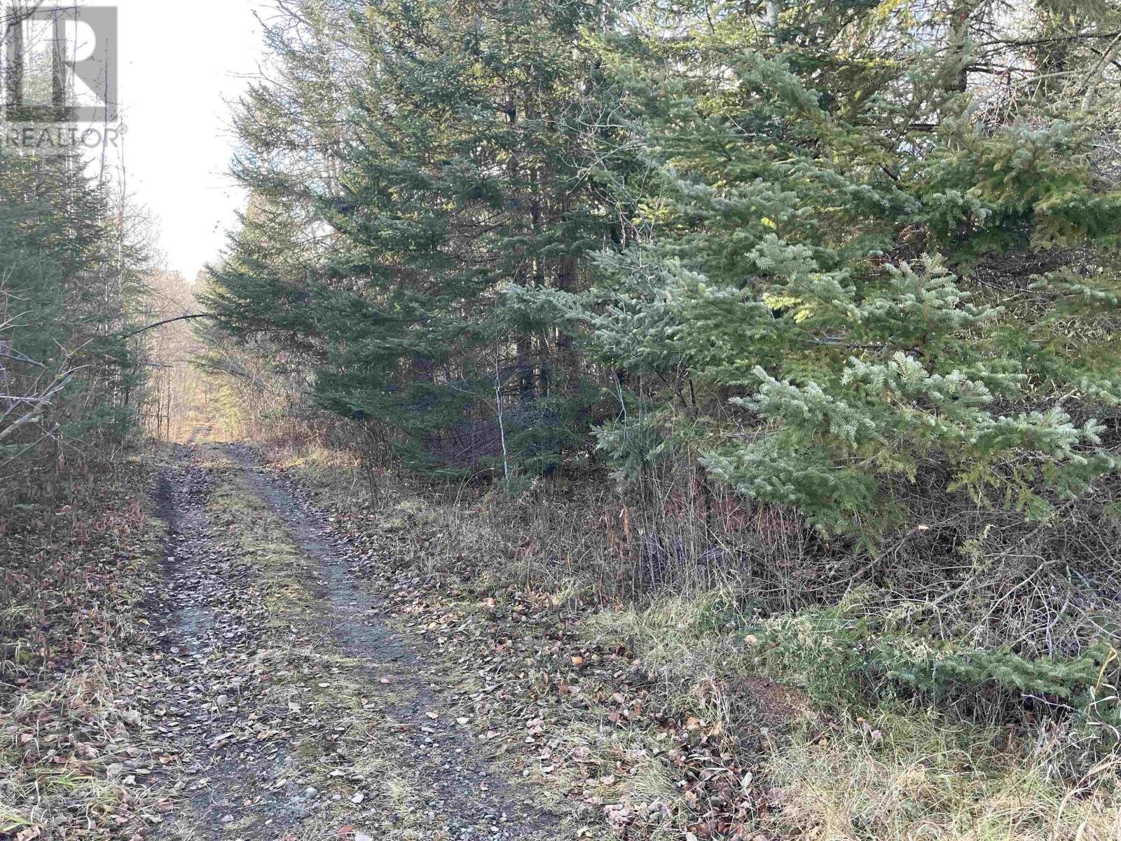 99 Shelley Lane, Dryden, Ontario  P8N 2Y4 - Photo 5 - TB253566