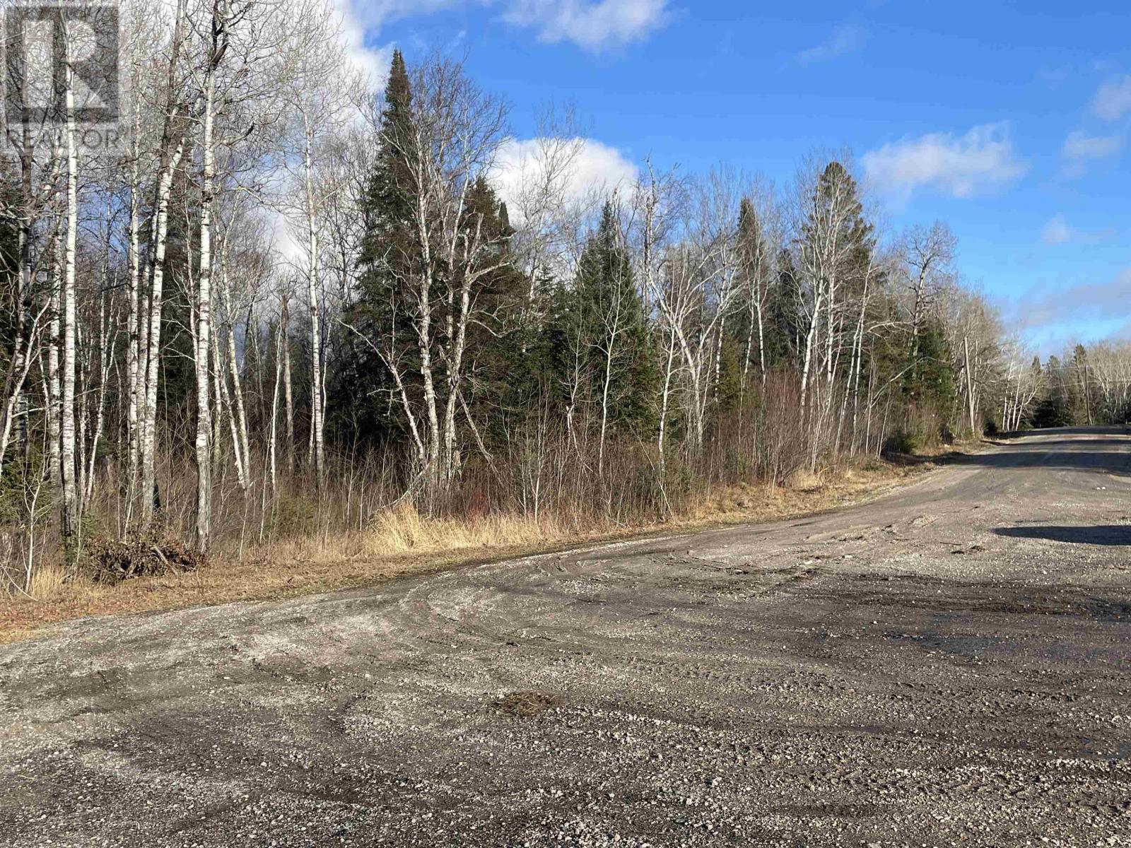 99 Shelley Lane, Dryden, Ontario  P8N 2Y4 - Photo 6 - TB253566