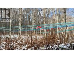 NA Woods Road, kedgwick, New Brunswick