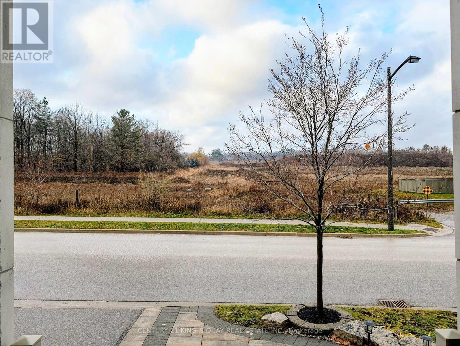 45 Chessington Avenue, East Gwillimbury, Ontario  L9N 0R5 - Photo 38 - N12581316