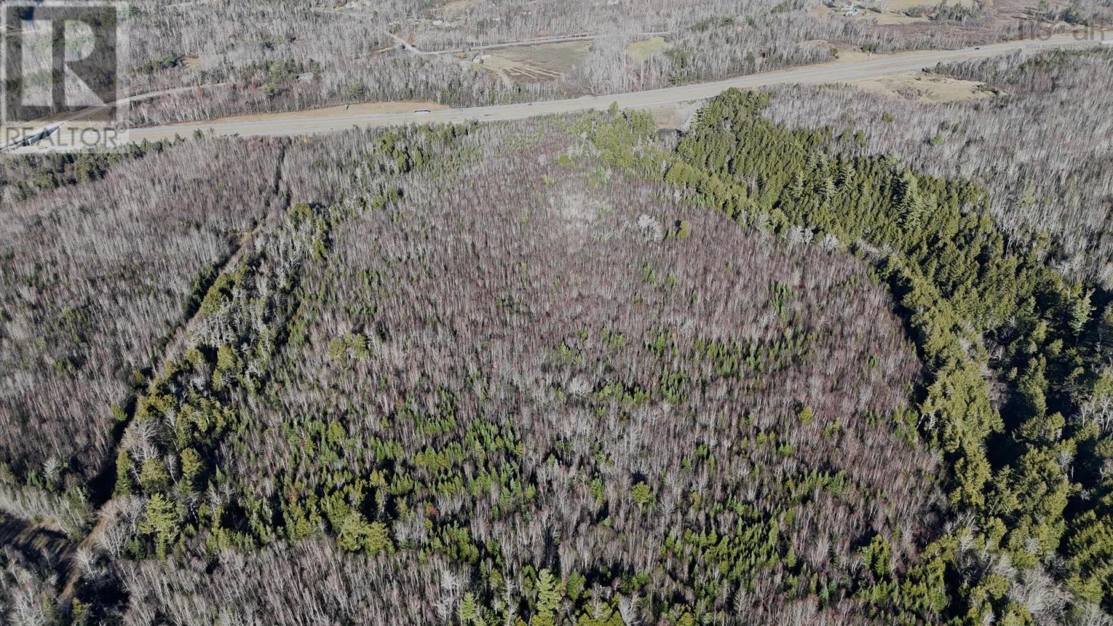 Lot Highway 104, Salt Springs, Nova Scotia  B0K 1P0 - Photo 10 - 202528385