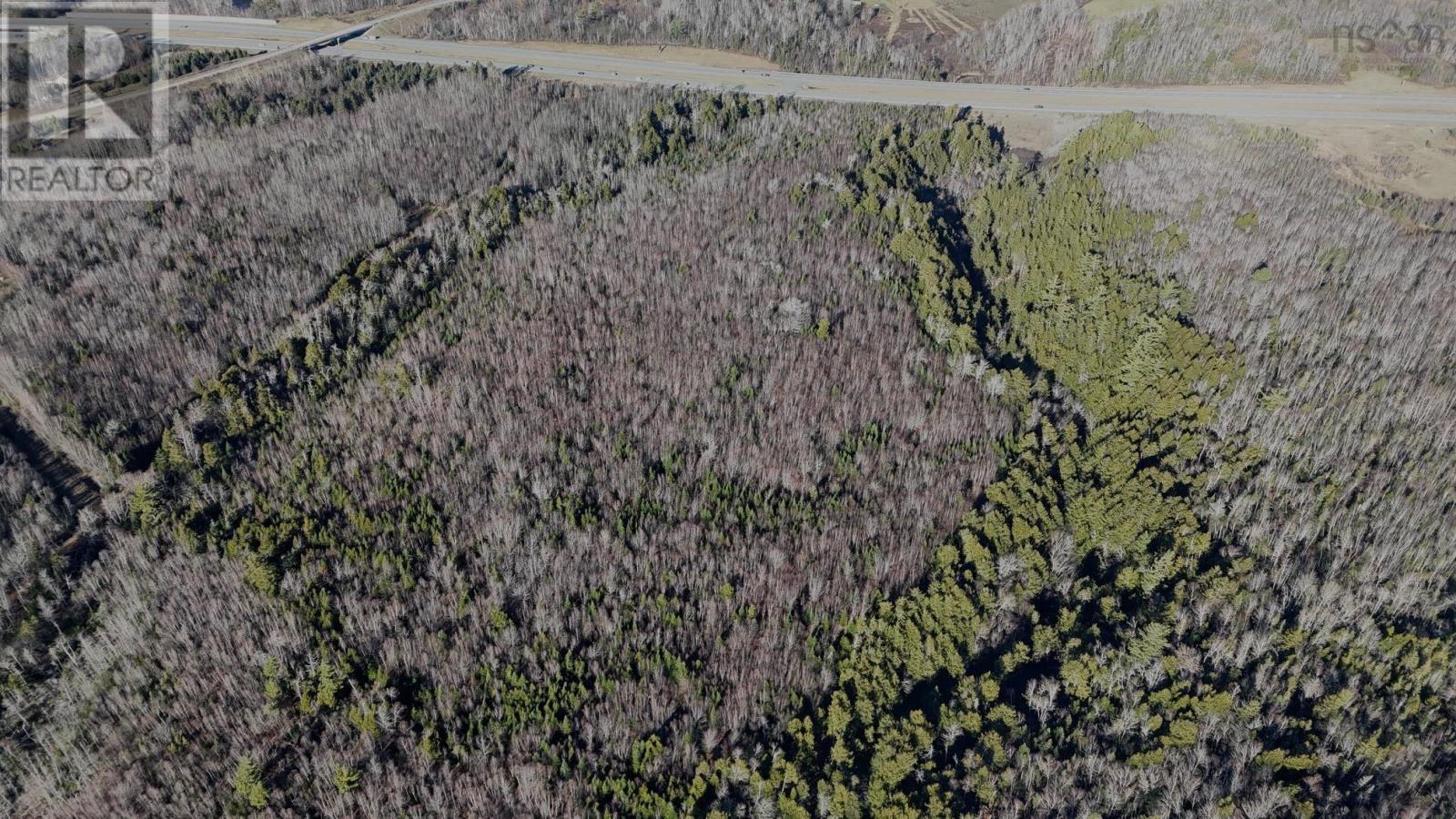 Lot Highway 104, Salt Springs, Nova Scotia  B0K 1P0 - Photo 9 - 202528385