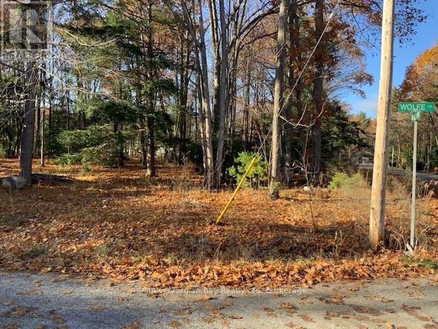 Lot 659 Wolfe Trail Nw, Tiny, Ontario  L9M 0H7 - Photo 2 - S12582620