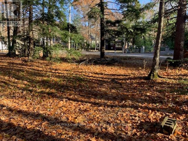 Lot 659 Wolfe Trail Nw, Tiny, Ontario  L9M 0H7 - Photo 4 - S12582620