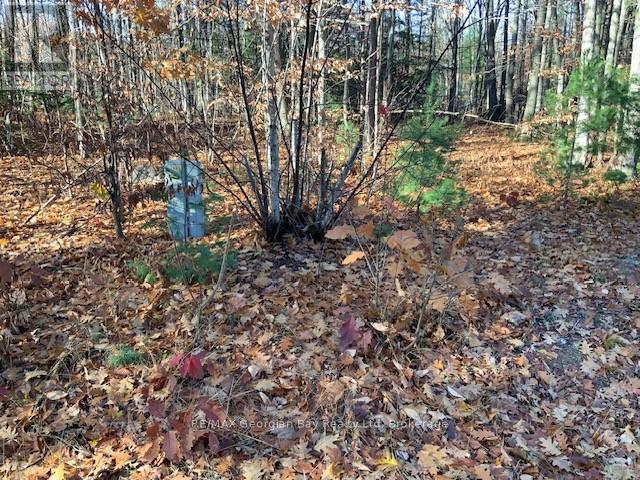 Lot 659 Wolfe Trail Nw, Tiny, Ontario  L9M 0H7 - Photo 6 - S12582620