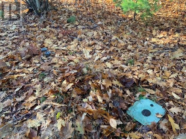 Lot 659 Wolfe Trail Nw, Tiny, Ontario  L9M 0H7 - Photo 7 - S12582620