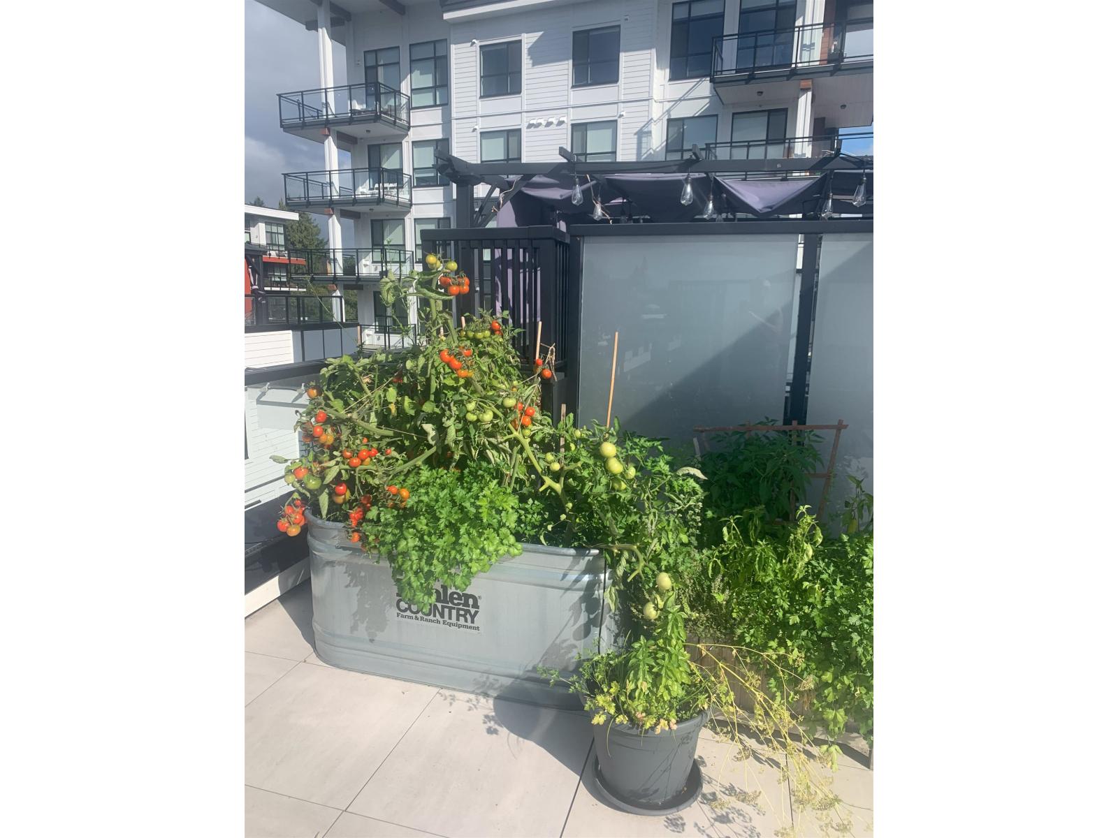 16 5476 Brydon Crescent, Langley, British Columbia  V3A 0N7 - Photo 31 - R3067927